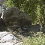 FITS_232 (May 04, 2019)